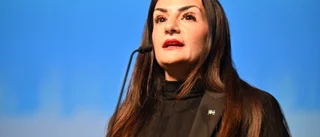 Regeringen – krisande filmbranschens största oro