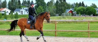 ”Backa bandet för ridanläggning vid Rävhagen”
