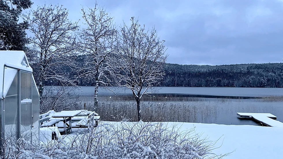 Läsarbild från Falkträsket. Skicka in dina bilder från det fina vinterlandskapet, pulkåkningen i backen eller snöskottningen. 