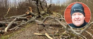 Efter helgens blåsväder – se förödelsen vid populära stråket