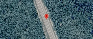 Varning för älg på vägen på E4