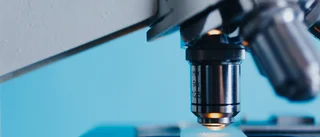 Vi behöver naturvetenskaplig kompetens – men vem ska göra jobbet?