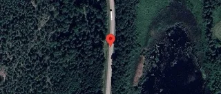 Träd över vägen skapar problem i trafiken på väg 23