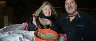 Bygger ny industri för hampa som livsmedel