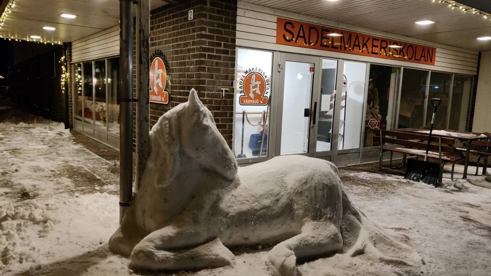 Snöhästen utanför sadelmakeriskolan i Tärnsjö har blivit en snackis i samhället.