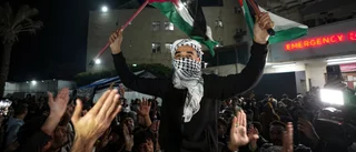 Israel kan inte besegra Hamas bara med militära medel