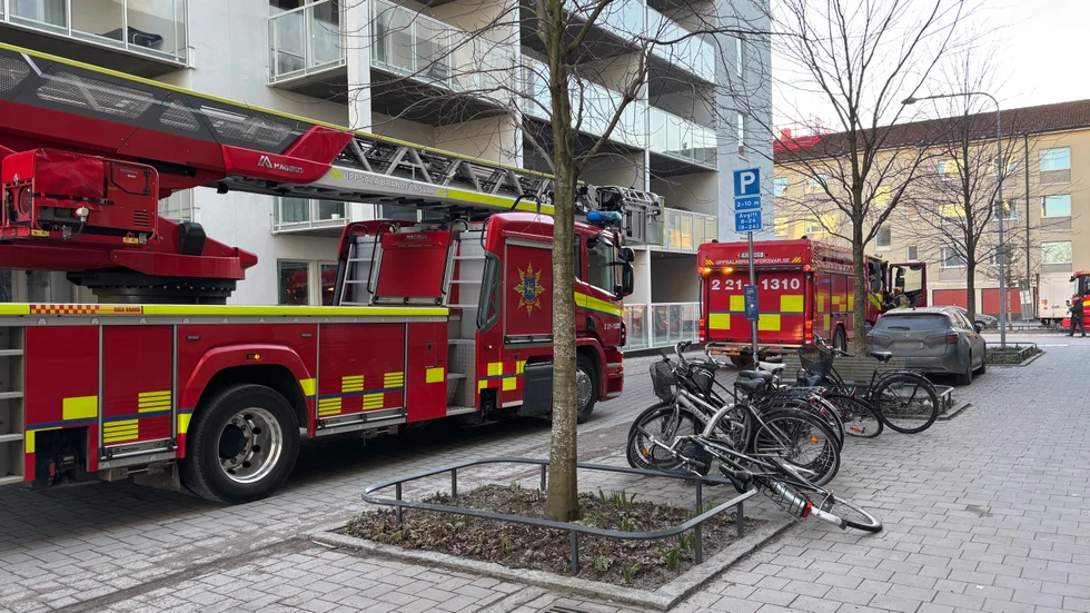 Flera stora brandbilar är på plats. 