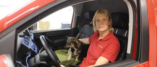 Veterinärbristen innebär att djurägare kan nekas hjälp: "Icke akuta ärenden får anstå"