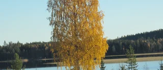 Läsarbilden: Hösten är här    