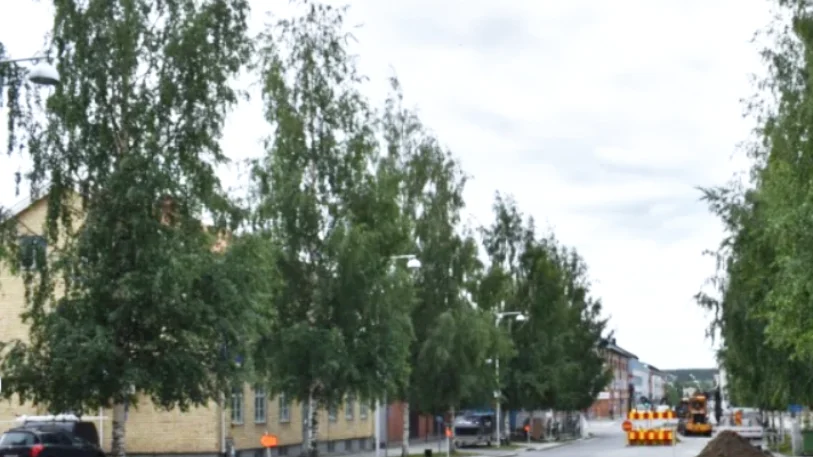 Stationsgatan innan björkarna togs bort, vilket förslagsställaren ogillade.