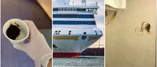 16-åringarna: "Någon fick en idé om att smeta skit"