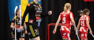 Mattias Karlsson: "Kvällen då hjältarna stod på rad"