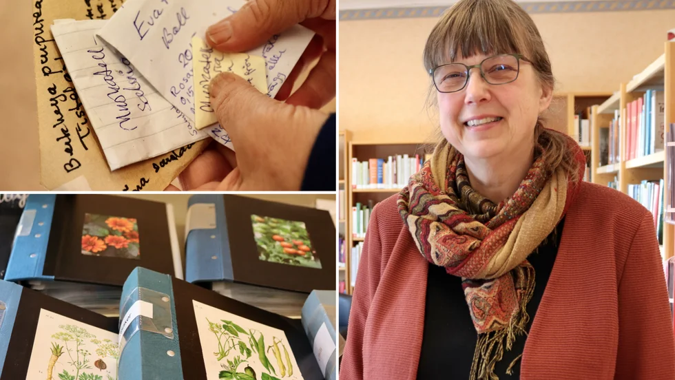 Christina Nilsson, bibliotekarie på Burgsviks bibliotek, välkomnade besökarnas initiativ till ett fröbibliotek.