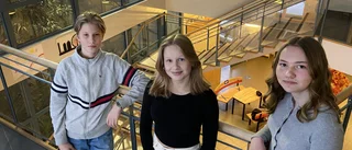 Hemmaplugg inte bara dåligt: "slipper stöket"