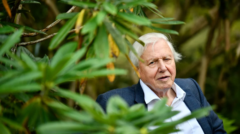 Sir David Attenborough, här under ett besök i Göteborg, har gjort en ny tv-serie. Den här gången om Storbritanniens natur. Arkivbild.