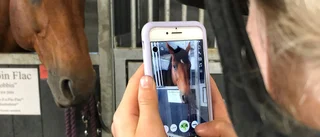 Mobilen obligatorisk på ridlägret – med TIkTok-tema