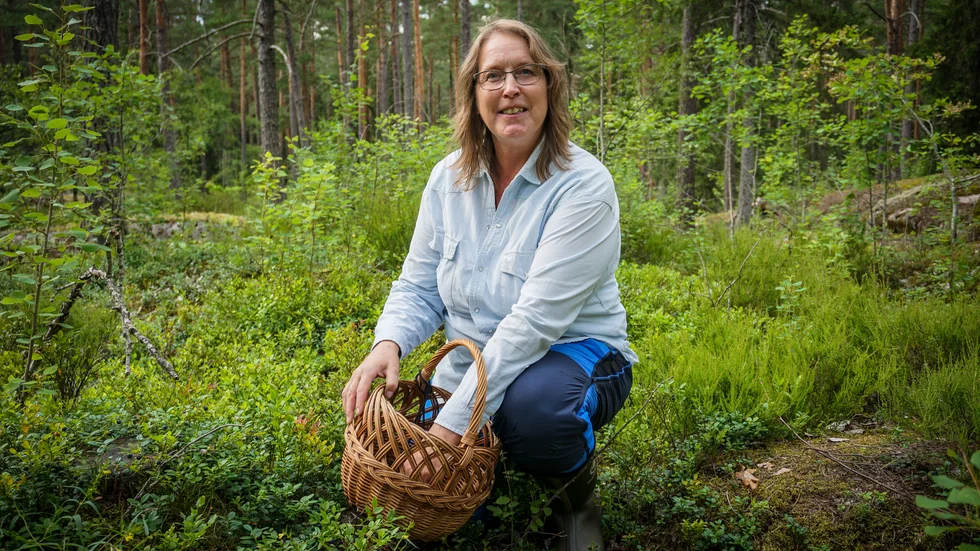 Åsa Jern är svampkonsulent. Hennes uppgift är att folkbilda inom svamp och svampplockning.