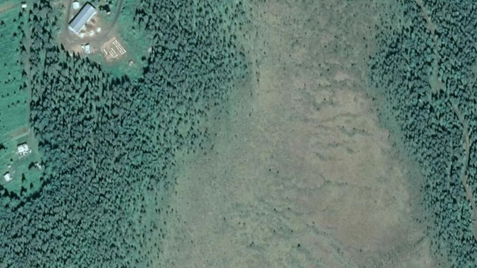 Området kring Leipijärvi 11