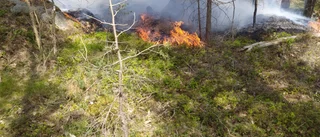 Snabb upptäckt hindrade skogsbrand från att växa