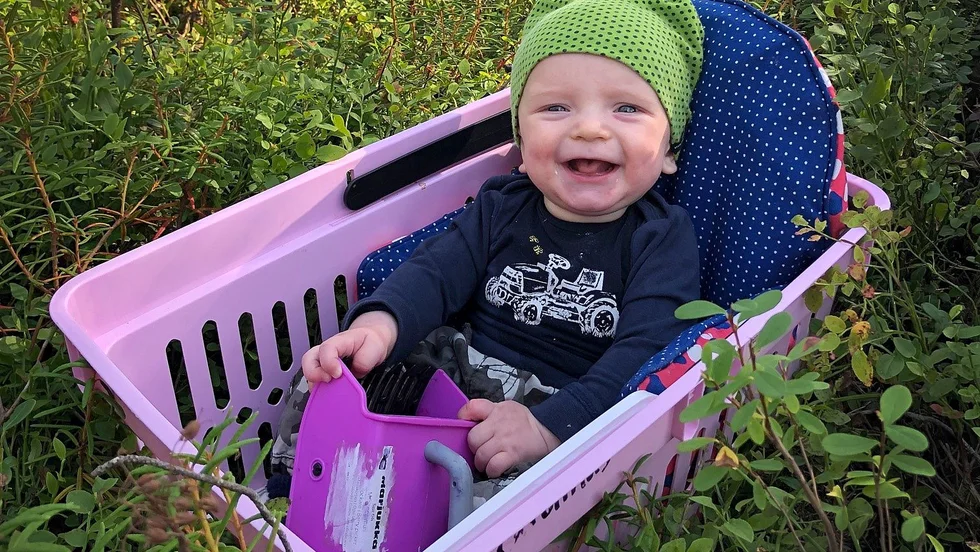 Einar Södersten, fem månader, följer med mamma och plockar blåbär.