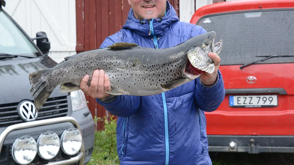 Christoffer Carlman landade fredagens största fisk, en öring på drygt 7,9 kilo. 