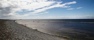 Centern får regeringen att försvaga strandskyddet