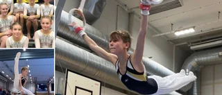 Visbygymnaster levererade i Mälarcupen