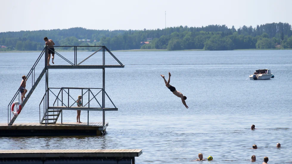 Badsugna svalkar sig vid Bredsand vid Mälaren. Arkivbild.