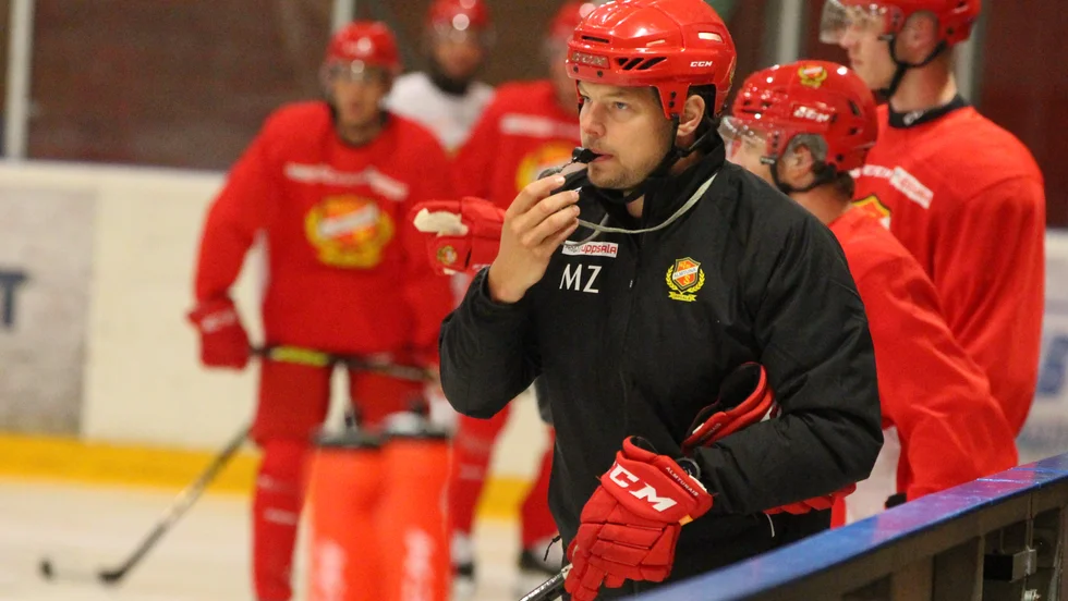 Mattias Zackrisson gör sin första säsong som huvudtränare för ett seniorlag på elitnivå.