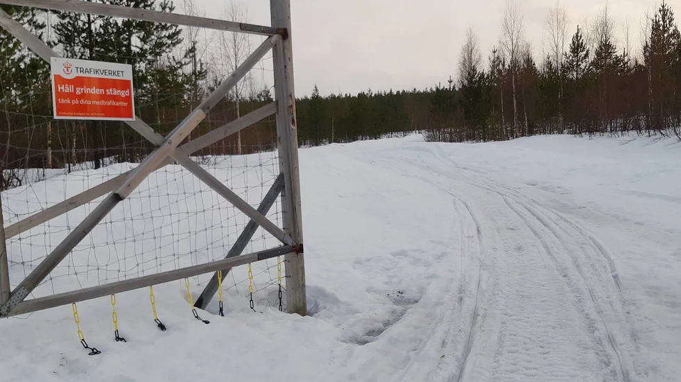 En uppmärksam Piteåbo stängde en öppen grind efter E4 i lördags, för att undvika svåra olyckor. "Jag hade inte kunnat sova gott om det sedan skulle hända något där", säger mannen.