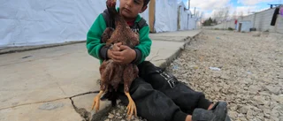 Givarviljan oroar inför Syrien-konferens
