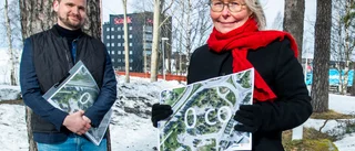 Luleås nästa landmärke: "Kul att få vara med att bygga något i min gamla hemstad"