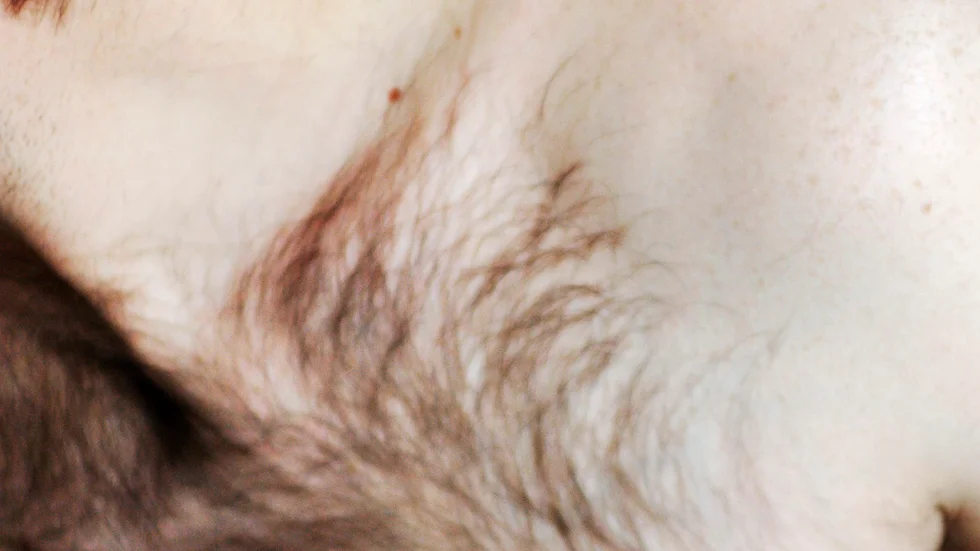 (Arkivbild)