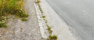 Vem ansvarar för trottoarerna i ”Hamn”?