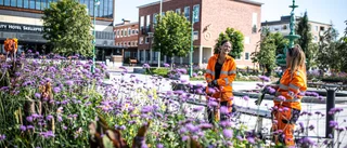 Kommunen vill ge sommarjobbande ungdomar mer betalt – om de väljer viss verksamhet • Så hög blir lönen