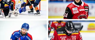 Veckans femma: Ofattbart – hur sjutton kunde det missas?