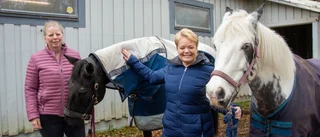 Landshövdingen på turné i Jokkmokks kommun • Pratade om Kallak samt glesbygdens utmaningar: "Nidbild från Jägarna"