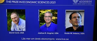 Ekonomipris för "naturliga experiment"