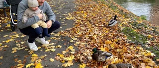 Signe är van vid kyla – men har aldrig upplevt hösten
