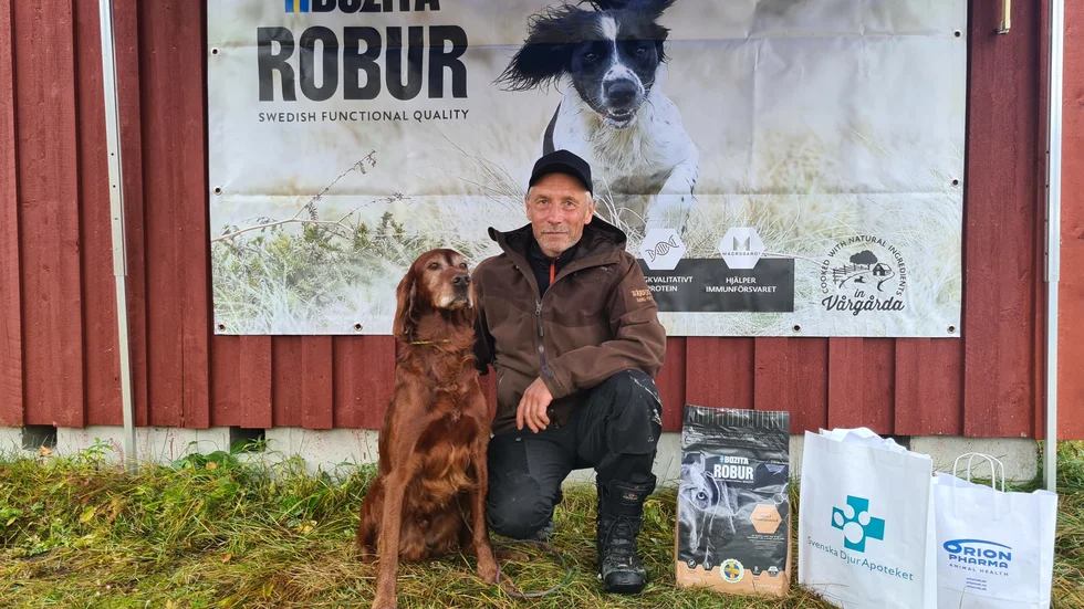 Det blev vinst i kvalet för Tärnafjällens Edward av Alta med förare Olof Westerlund från Jutis. Fjäll-SM för stående fågelhund arrangerades i Bruksvallarna den gångna helgen.