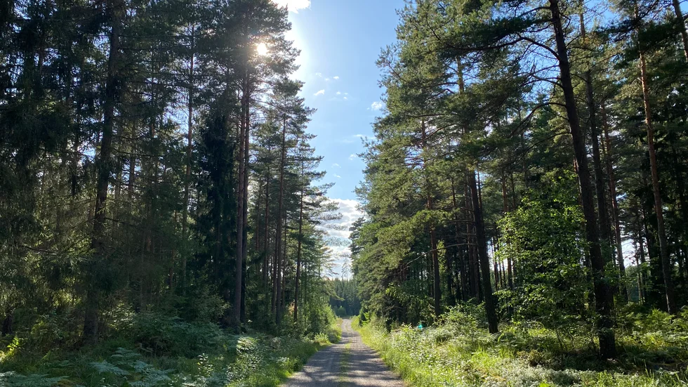 Den döde mannen hittades i ett skogsområde öster om sjön Ramsen den 22 juli. Hittills finns ingen misstänkt för mordet. 