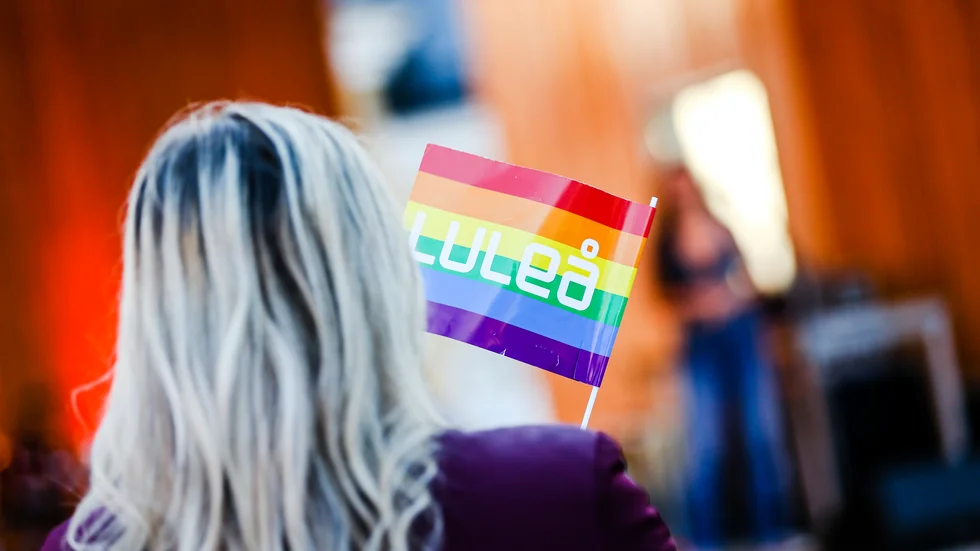 Årets Luleå Pride genomförs mellan den 15–21 augusti och står som vanligt med de största akterna i Stadsparken.