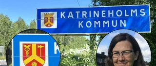 Kommunen vill att vägskyltar får guldkrona – Trafikverket: "Lägger inte skattepengar på det nu"
