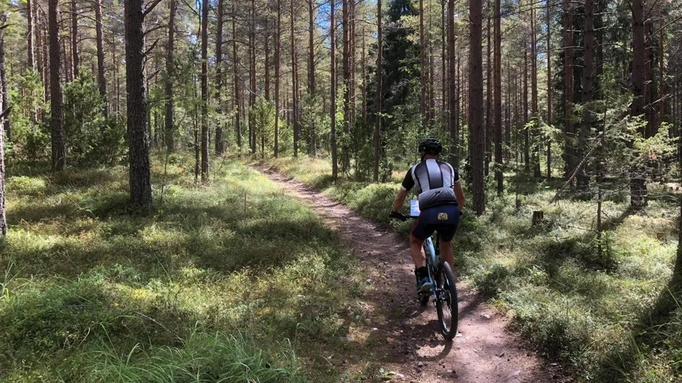 Svenska cupen i MTBO har funnits sedan 2016. 