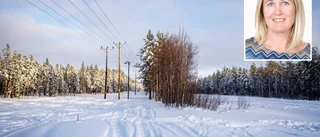  Norrbotten blir första producenten av grön ammoniak: "Ger synergieffekter"
