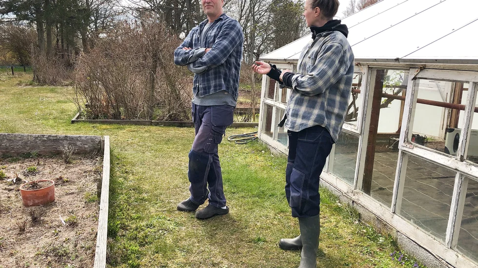 Hälften av de odlade grödorna ska vara till försäljning och hälften till dem själva. Joachim Wallberg och Jenny Carlberg vill vara självförsörjande på basvaror. 