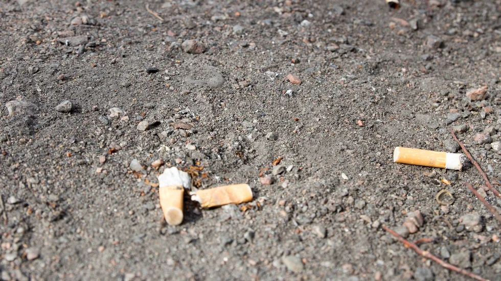 "För att Djulö ska vara den sköna oas där vi katrineholmare och turister ska kunna njuta, behöver vi tillsammans se till att hålla badplatsen fri från skräp och rökning" skriver insändarskribenten.