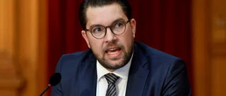 Åkesson: Ödesval väntar