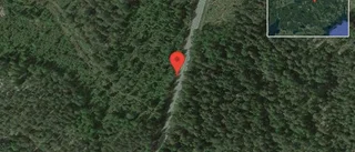 Fallna träd skapar problem i trafiken på väg 686