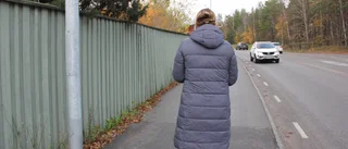 Här passerar 13 000 fordon varje dag: "Kommunen struntar i bullerplank"